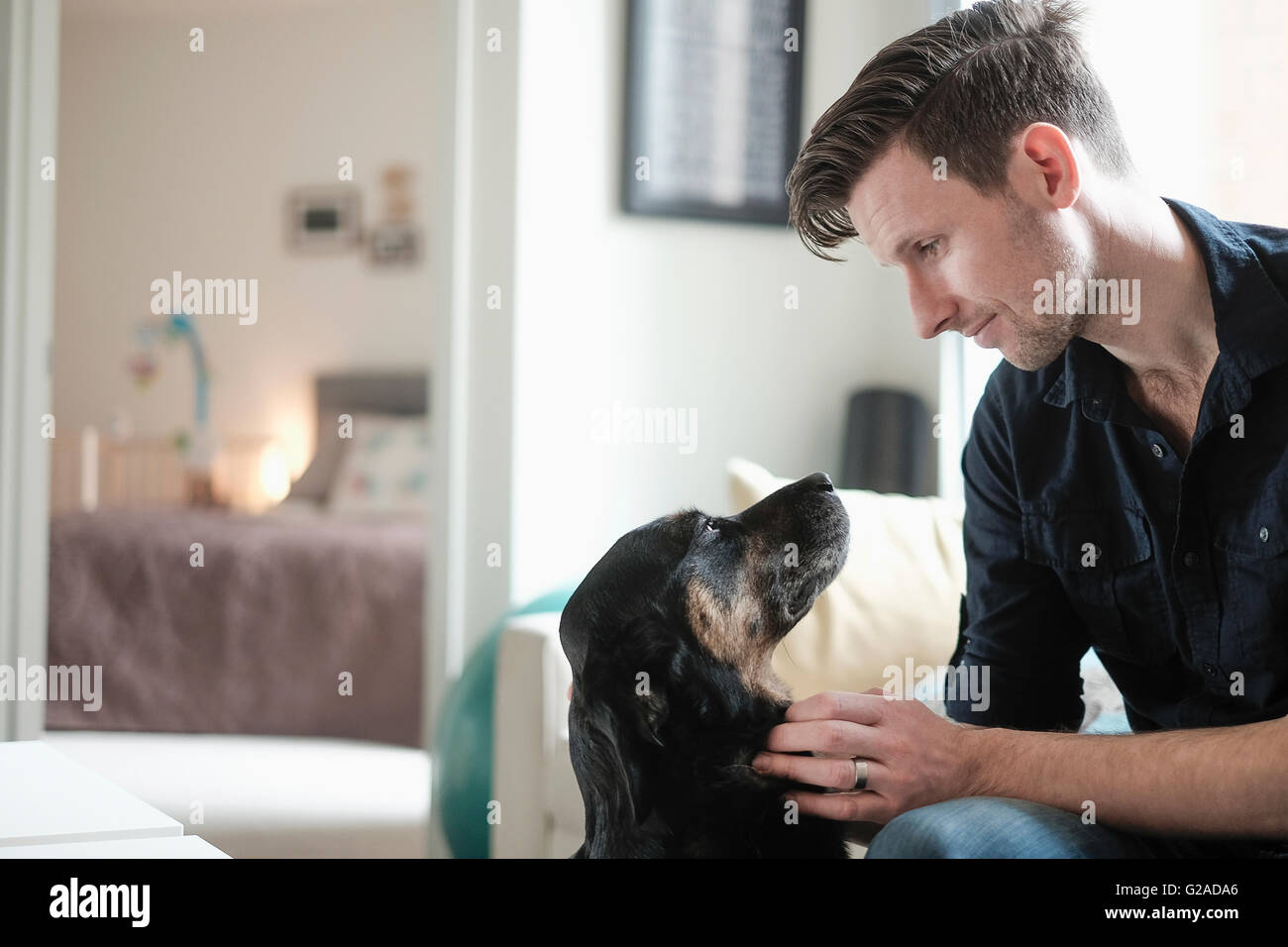 Man Playing with dog in living room Banque D'Images