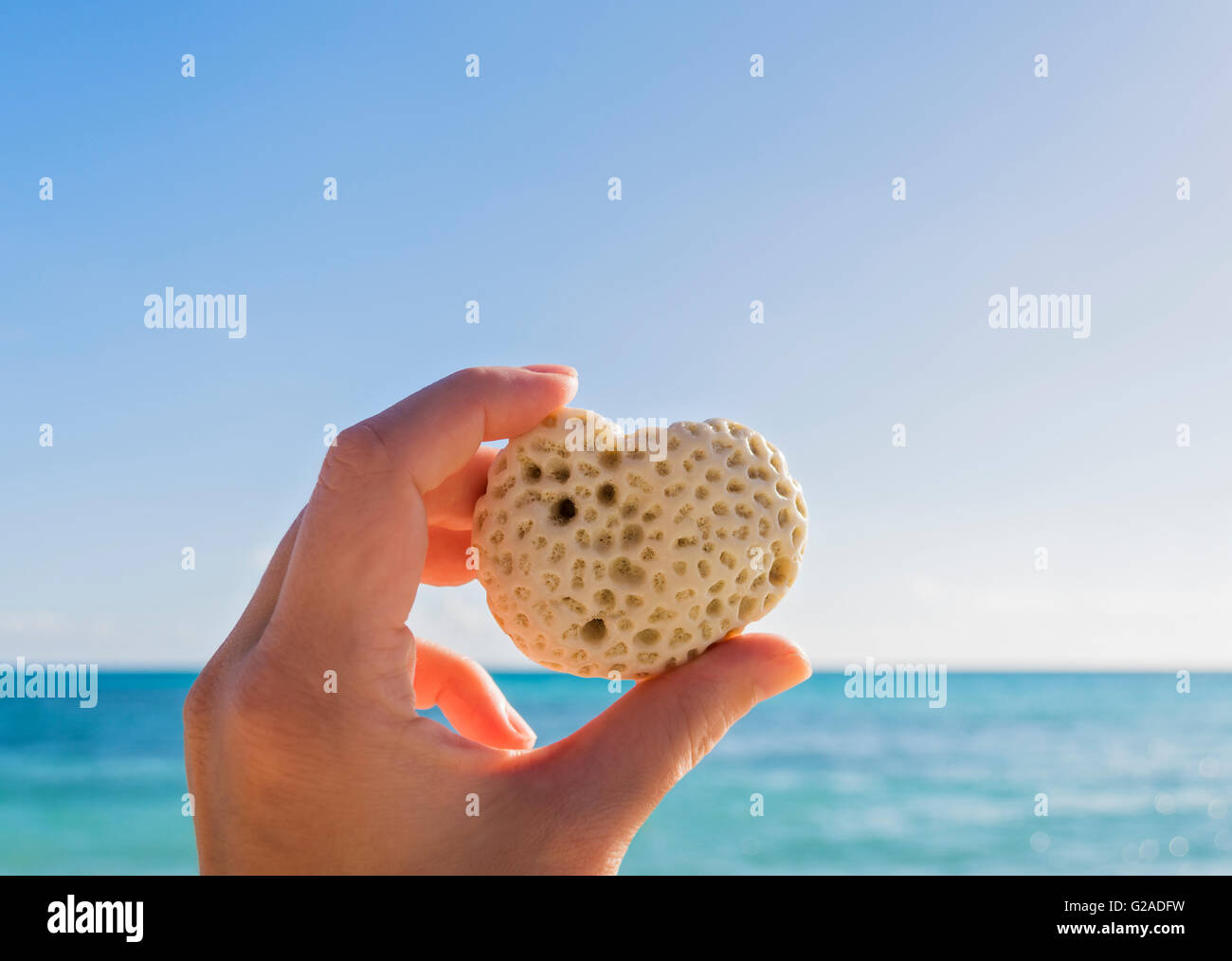 Hand holding shell en cœur contre la mer et ciel bleu Banque D'Images