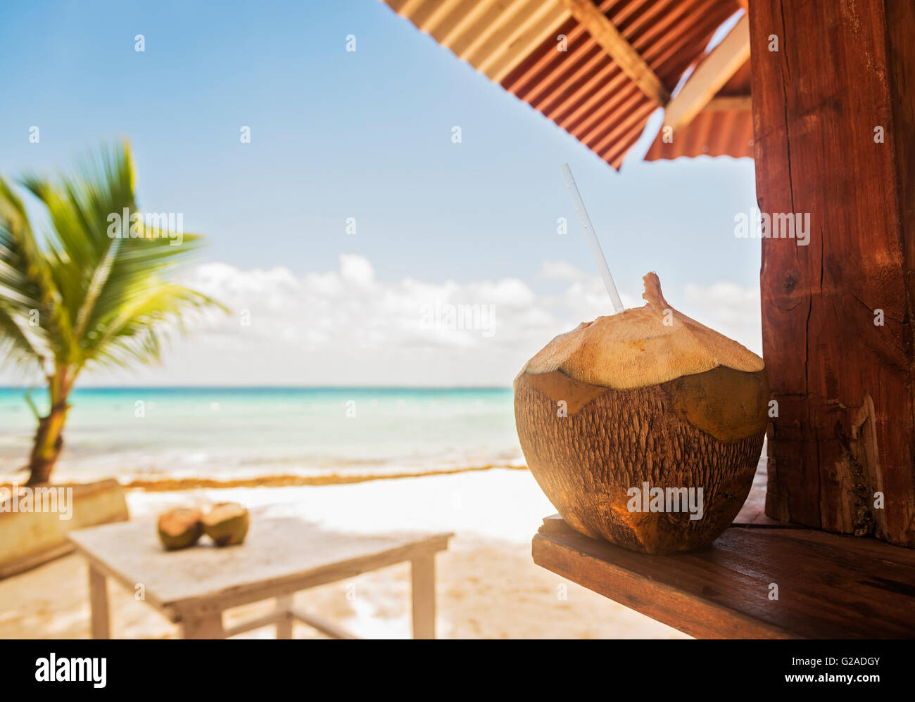 République dominicaine, un cocktail tropical on tropical beach Banque D'Images