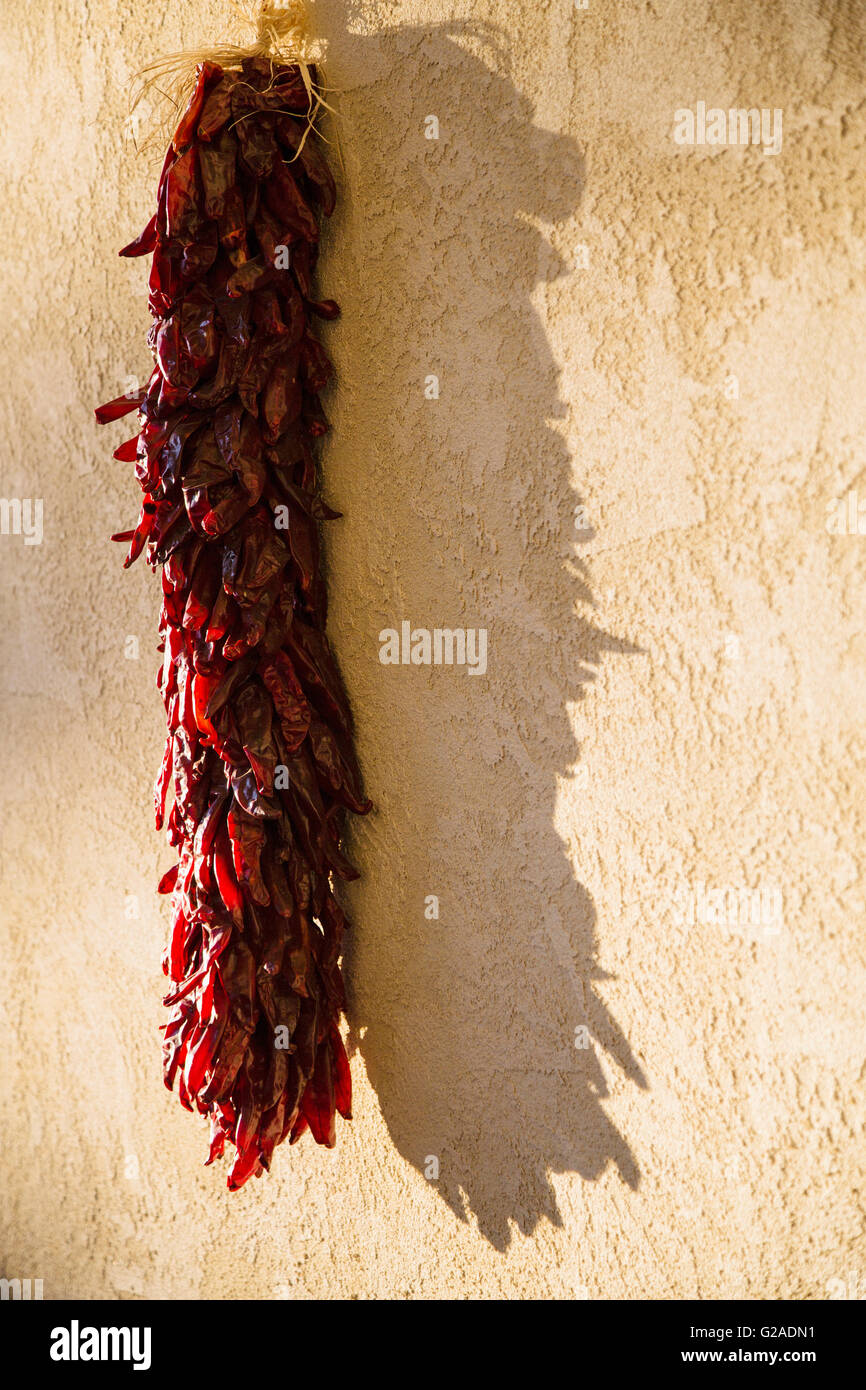 Bunch of red chili peppers le séchage sur mur en stuc Banque D'Images
