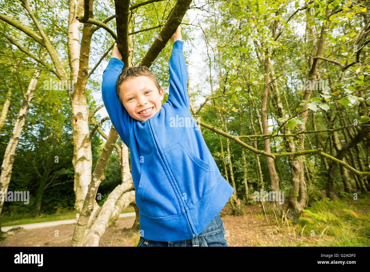 Smiling boy (6-7) Hanging on tree Banque D'Images