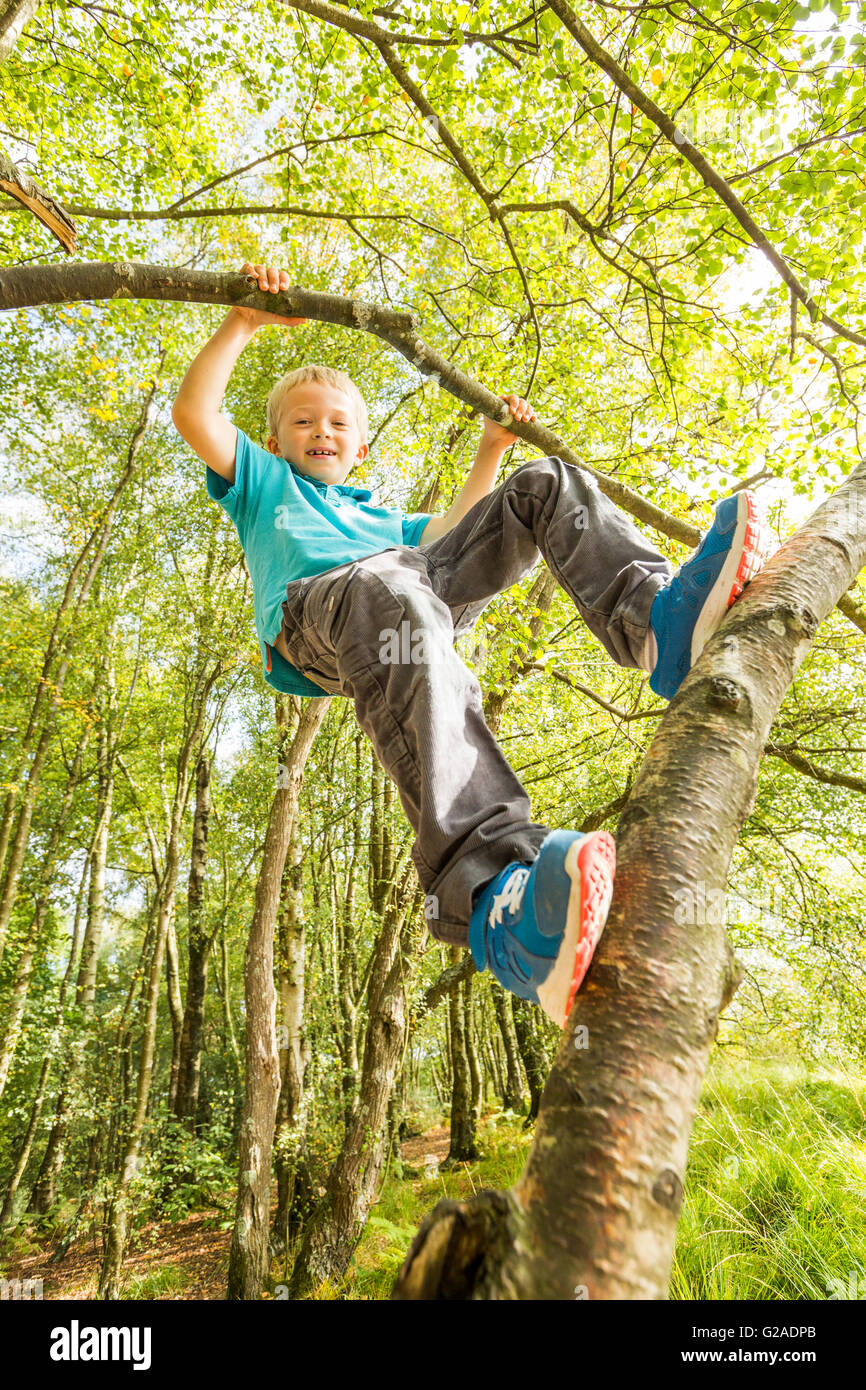 Boy (8-9) Hanging on branch Banque D'Images