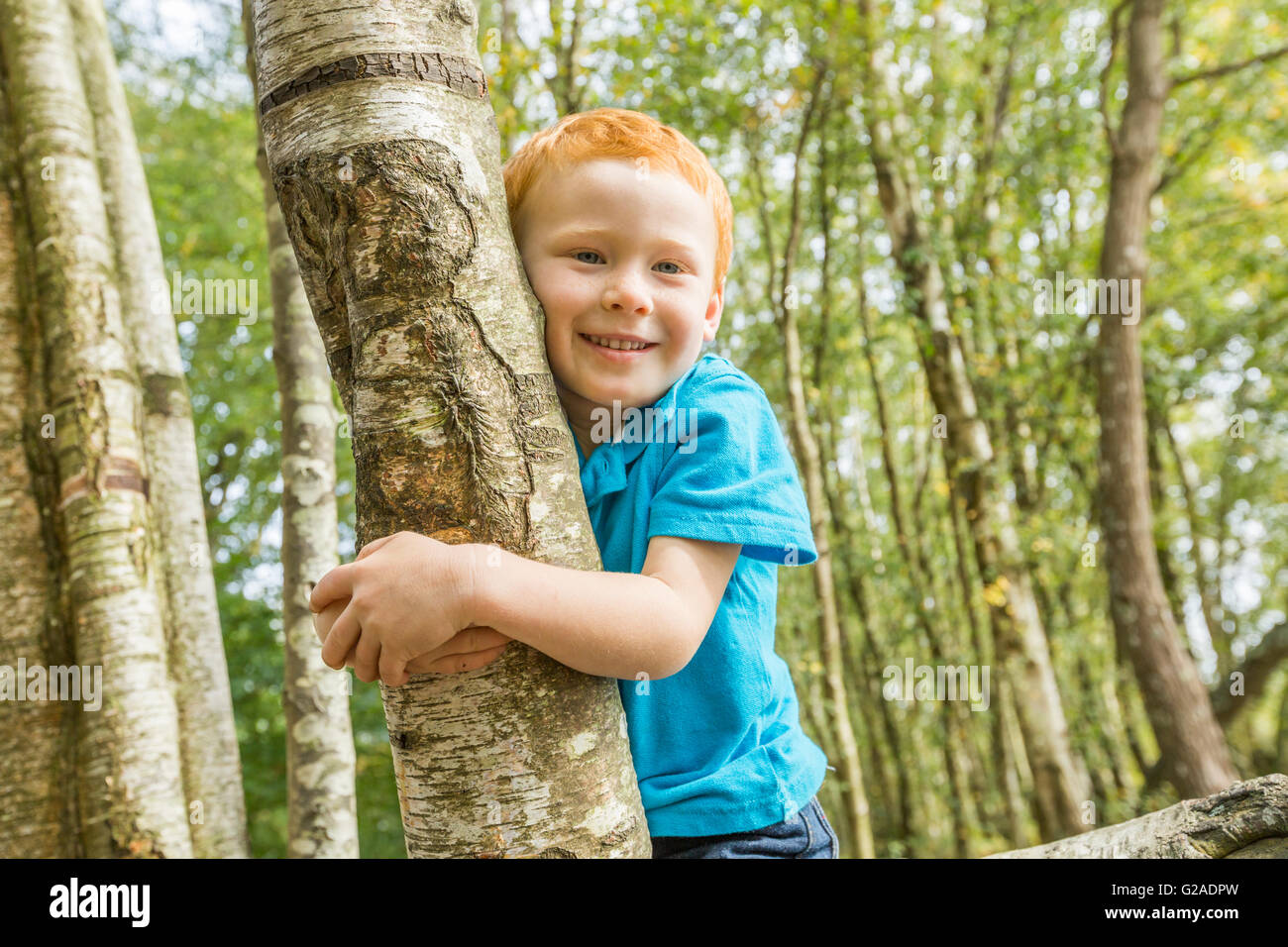Smiling boy (2-3) hugging tree Banque D'Images