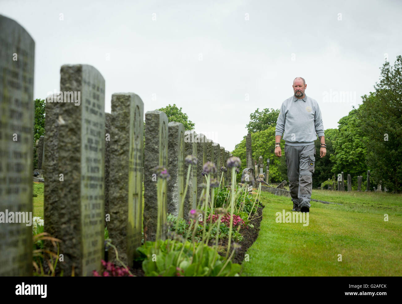 Graham Hobbs, qui travaille comme chef jardinier de l'Ecosse à la Commonwealth War Graves Commission, est représenté à la Nécropole de l'Ouest à Glasgow en avant de la bataille du Jutland commémorations. Banque D'Images