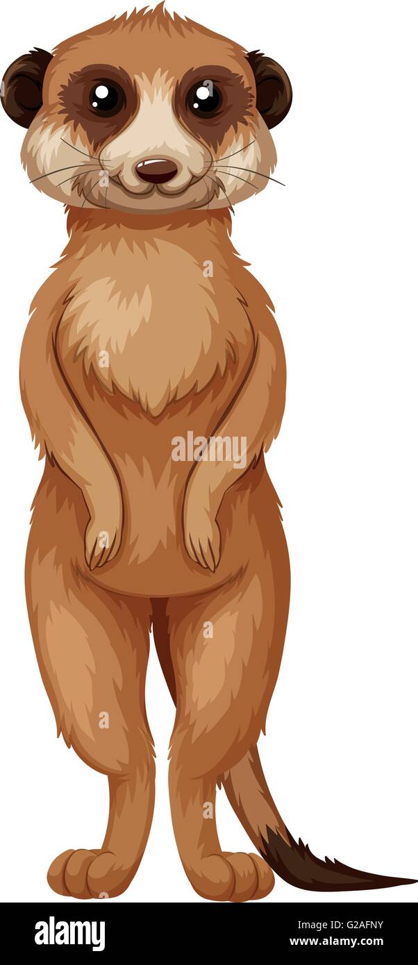 Meerkat avec fourrure marron illustration permanent Illustration de Vecteur