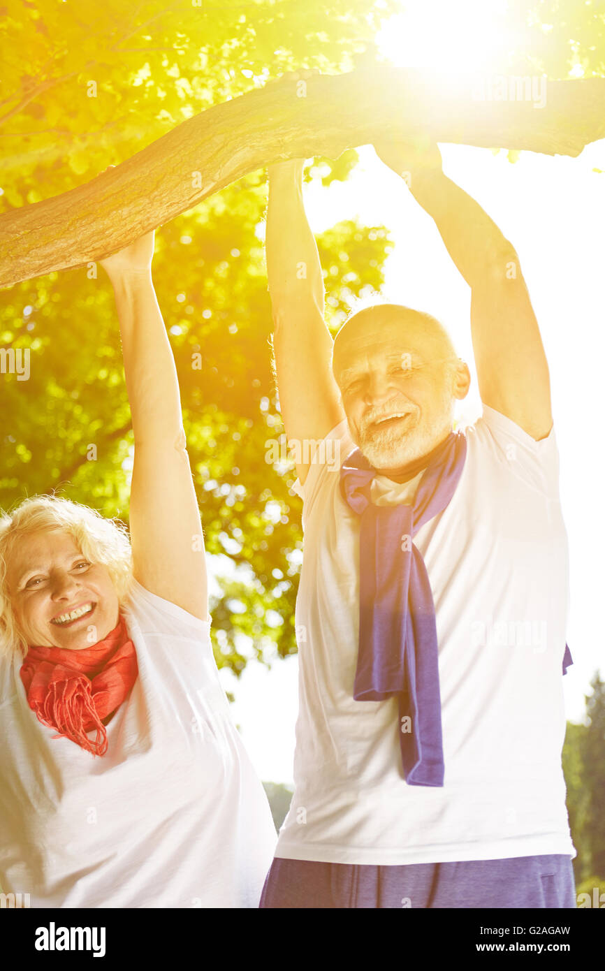 Deux professionnels chevronnés faisant tirer-se lève sur un arbre en été Banque D'Images