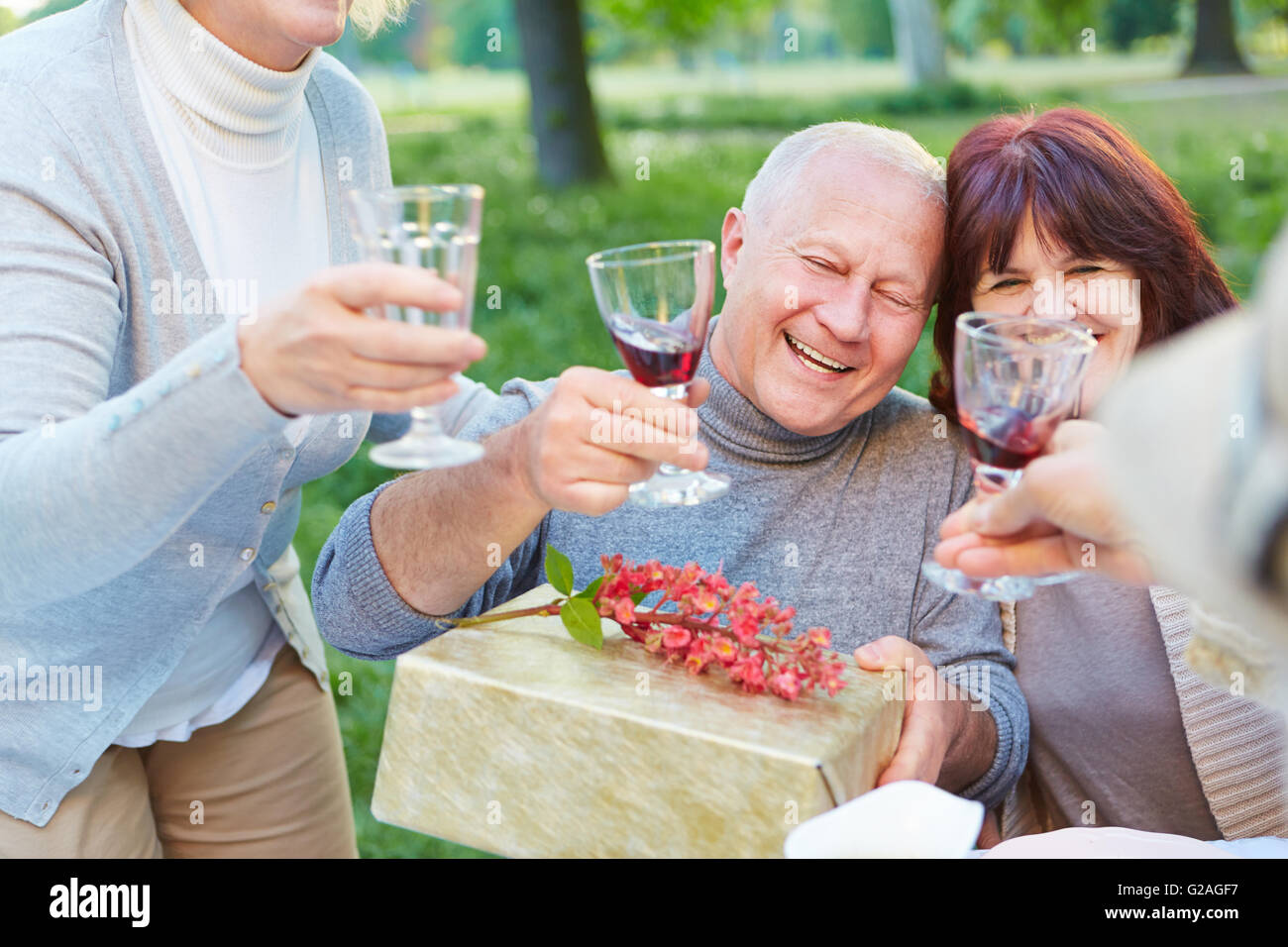 De vieux amis à l'anniversaire acclamer avec verre de vin rouge Banque D'Images