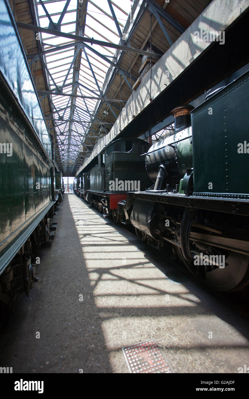 Une sélection d'anciens moteurs à vapeur Great Western Railway dans le hangar à la loco Didcot Railway, Oxfordshire, England, UK Banque D'Images
