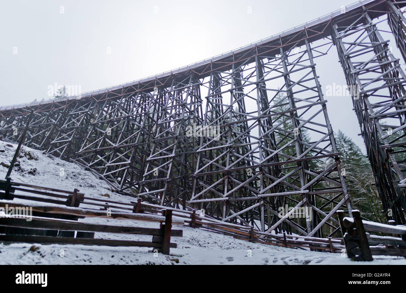 Le pont sur chevalets Kinsol en neige à l'île de Vancouver,Canada Banque D'Images