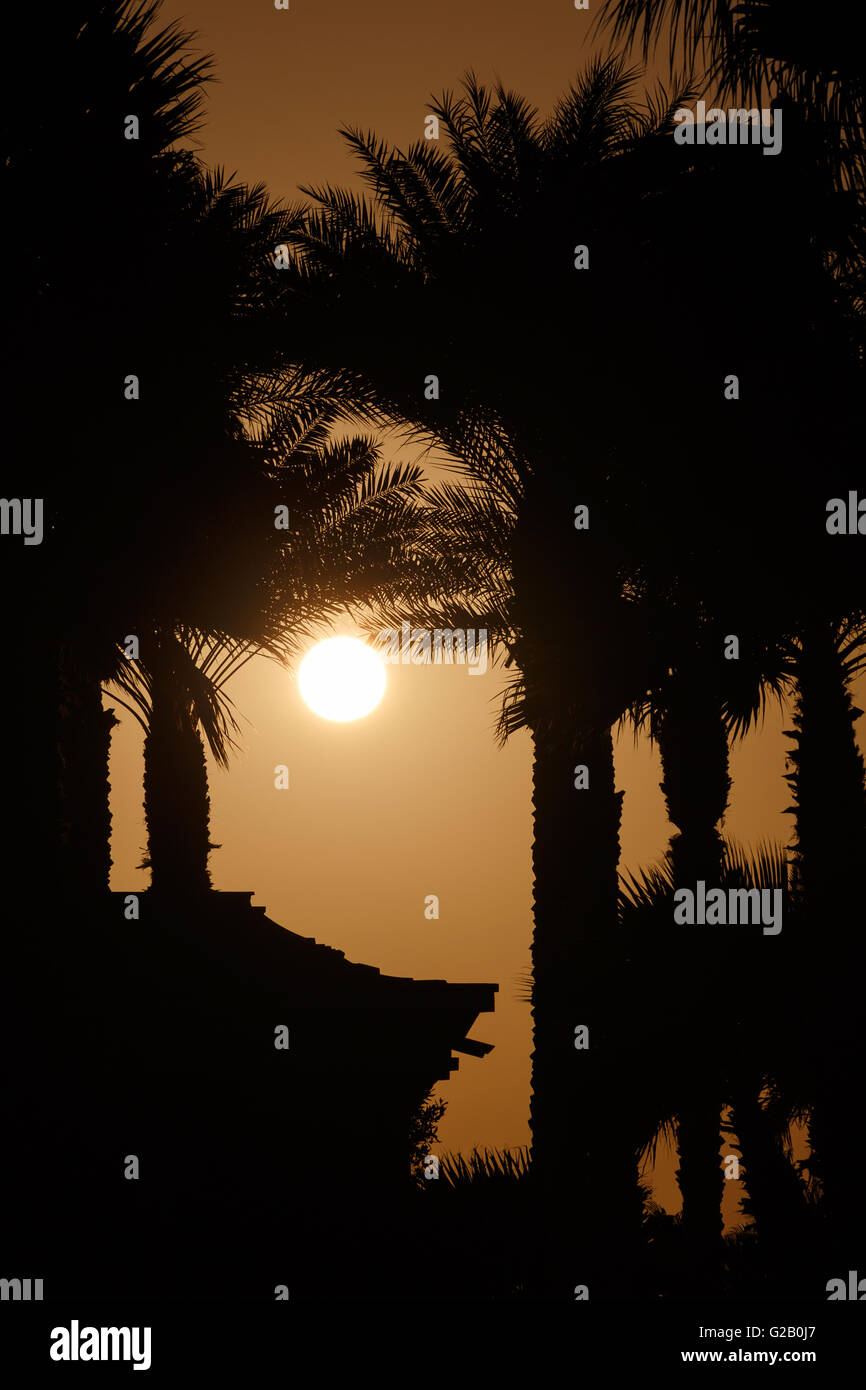 Vue sur le coucher du soleil derrière les palmiers et chambre Banque D'Images