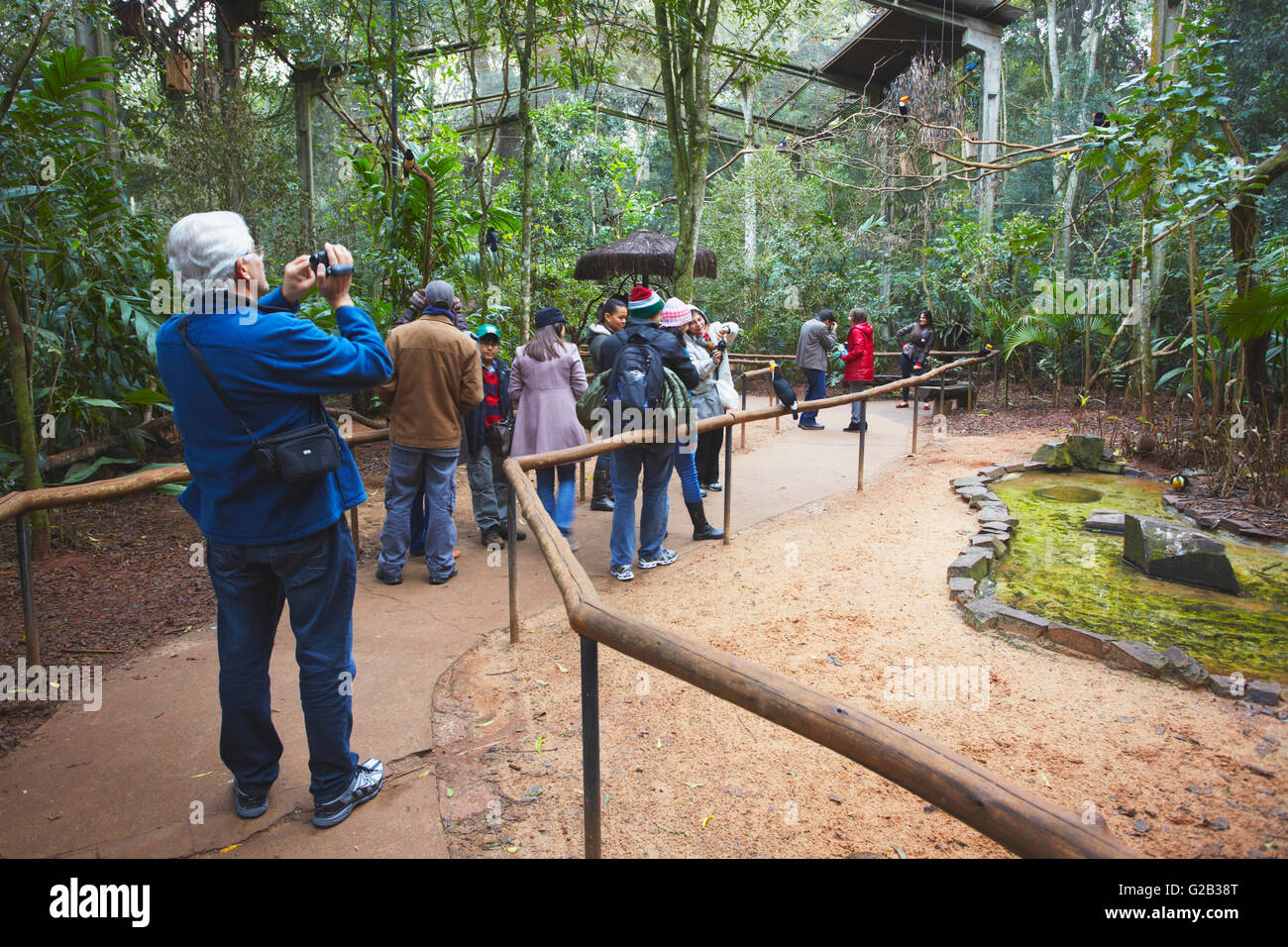 Les gens à l'intérieur de Marche-en cage au Parque das Aves (Parc des Oiseaux), Iguacu, Parana, Brésil Banque D'Images
