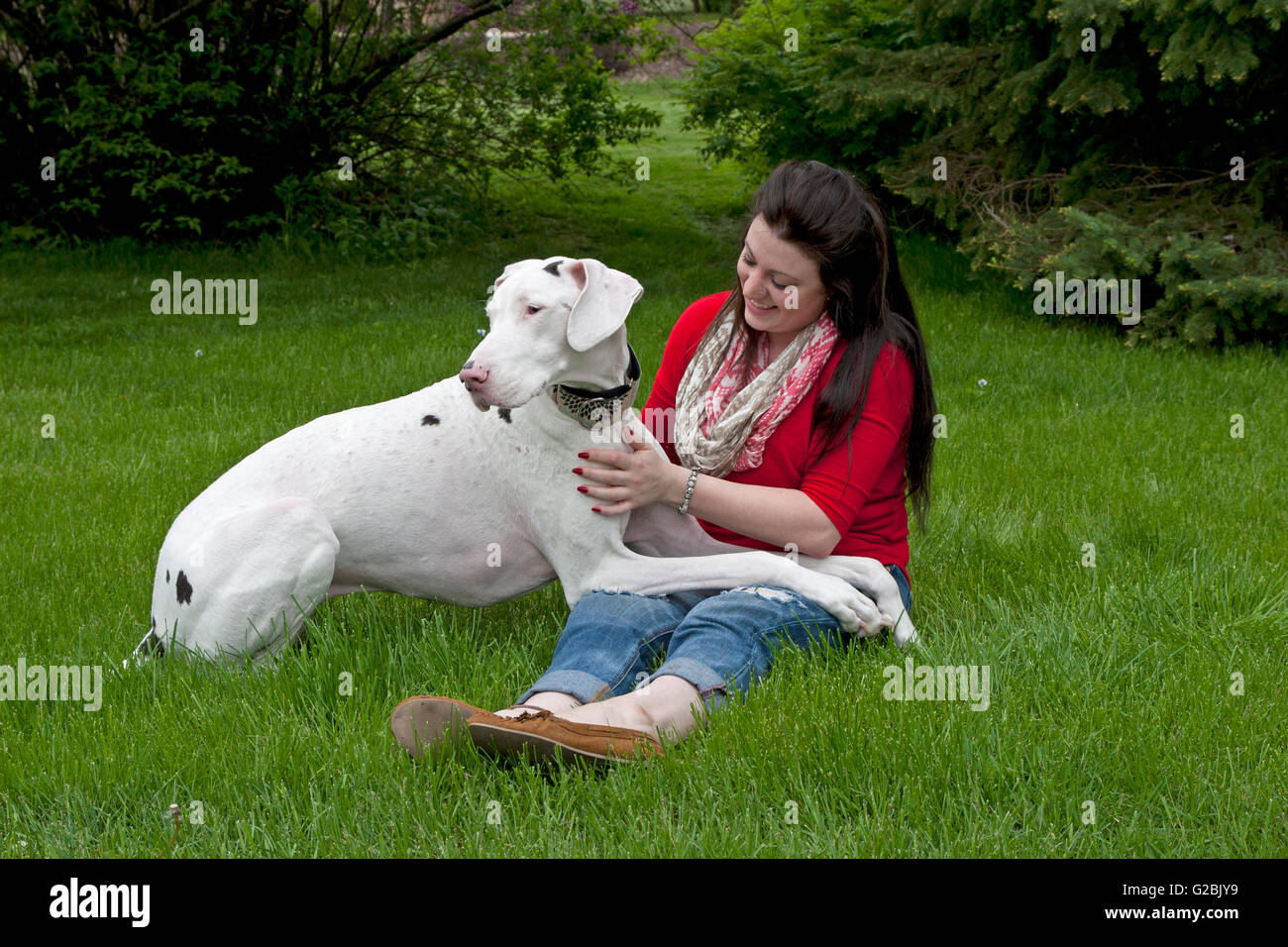 Femme en rouge tient grand chien Dane dans lap Banque D'Images
