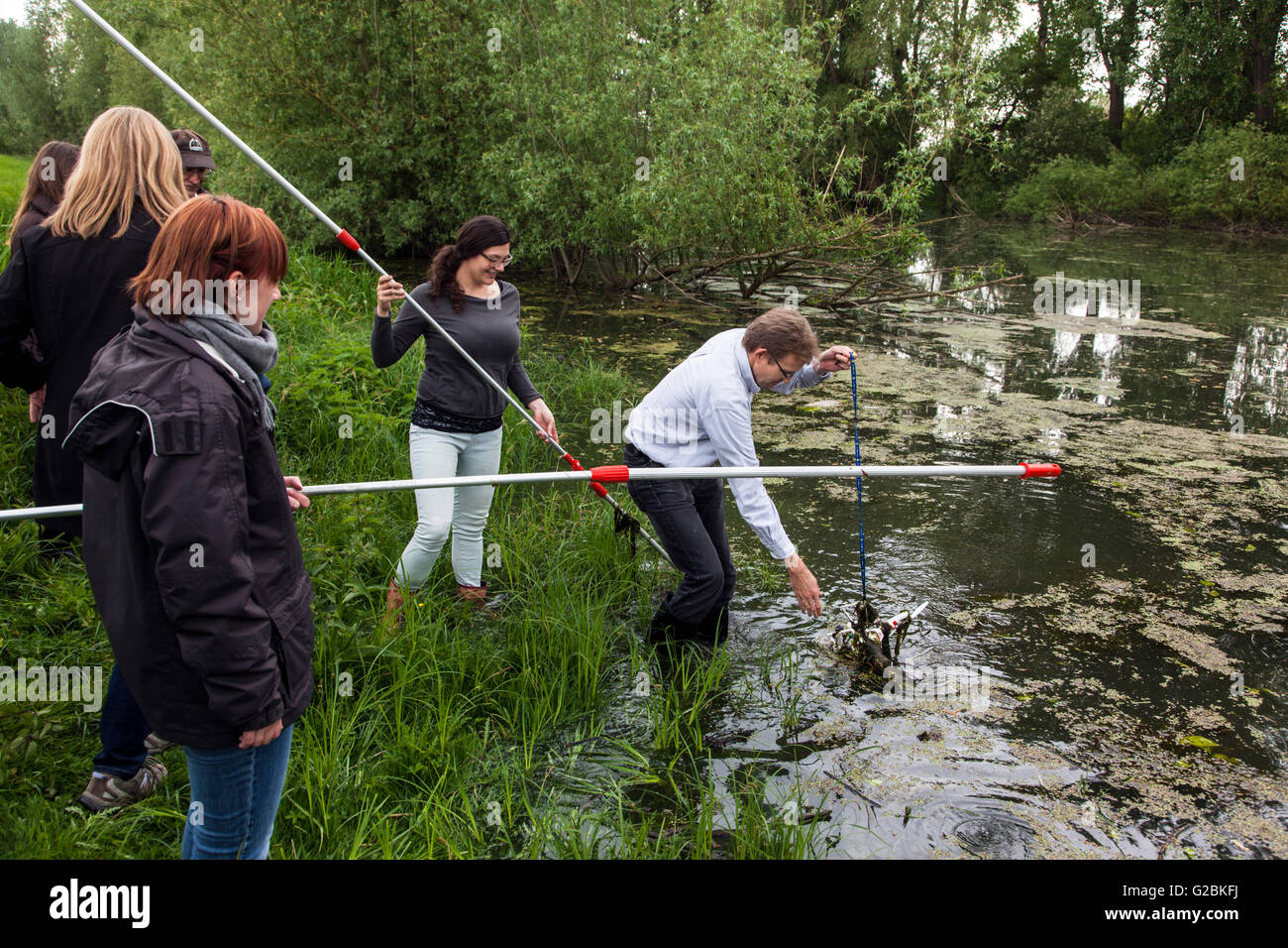Les biologistes prennent l'eau des échantillons d'un étang couvert de végétation. Banque D'Images