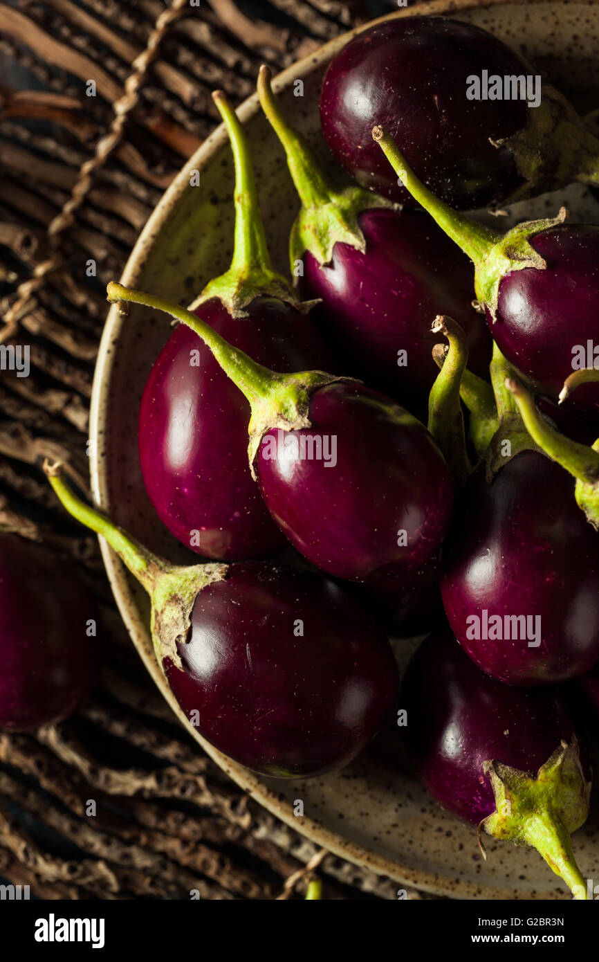 Les matières premières organiques indien Bébé Aubergines dans un bol Banque D'Images