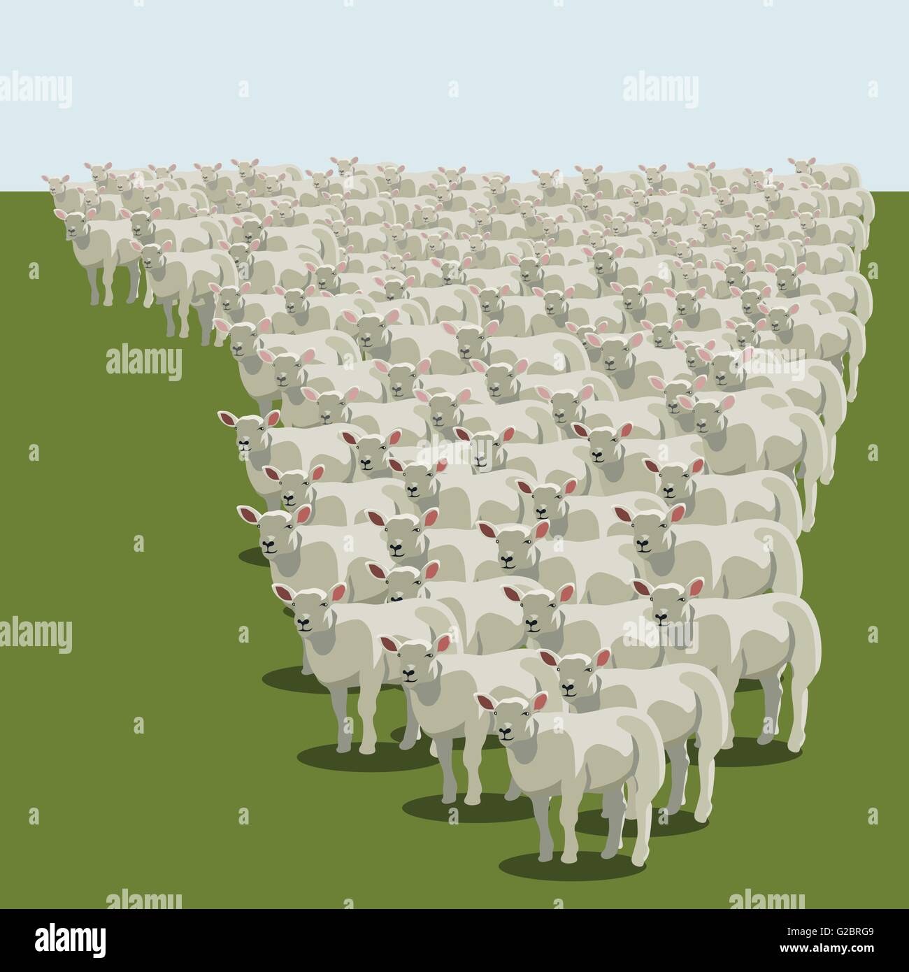 Troupeau de moutons animaux queuing, rester ensemble, vector Illustration de Vecteur