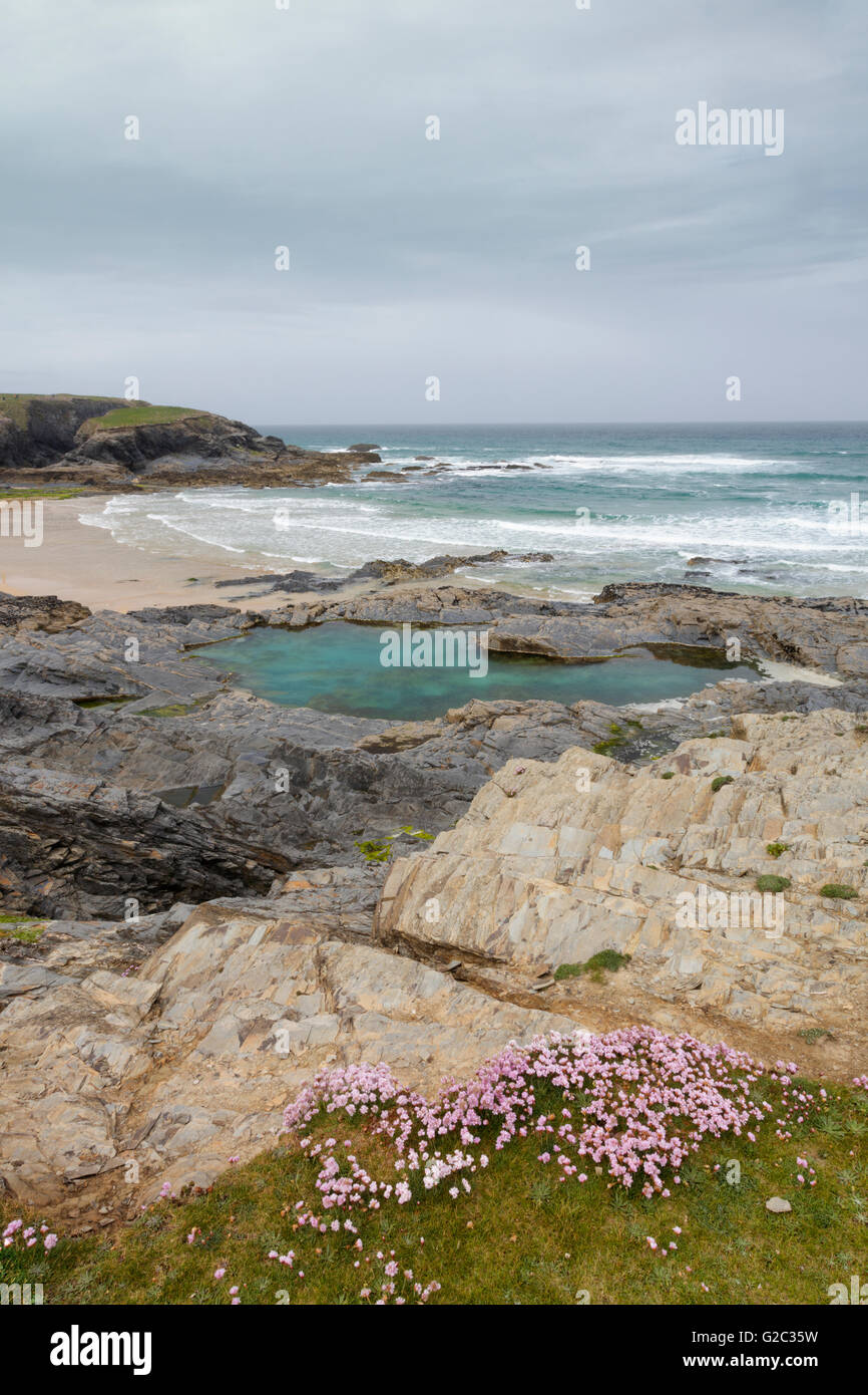 Grande piscine de roche turquoise et l'autre à Constantine Bay, sur la côte nord des Cornouailles Padstow. Banque D'Images