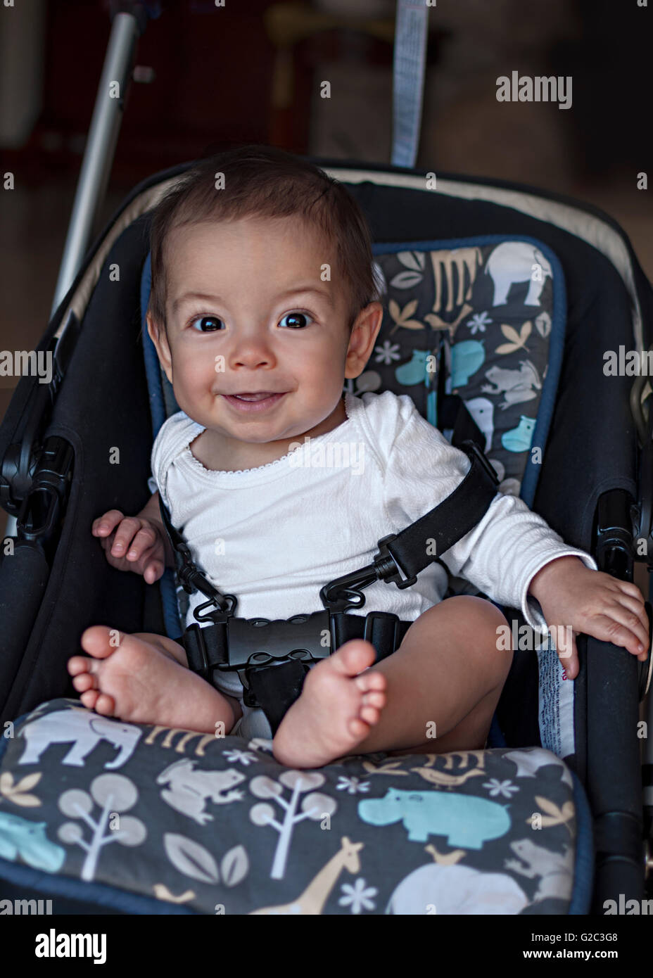 Petit bébé garçon assis dans une poussette à la maison, prêt pour une promenade dans un landau Banque D'Images