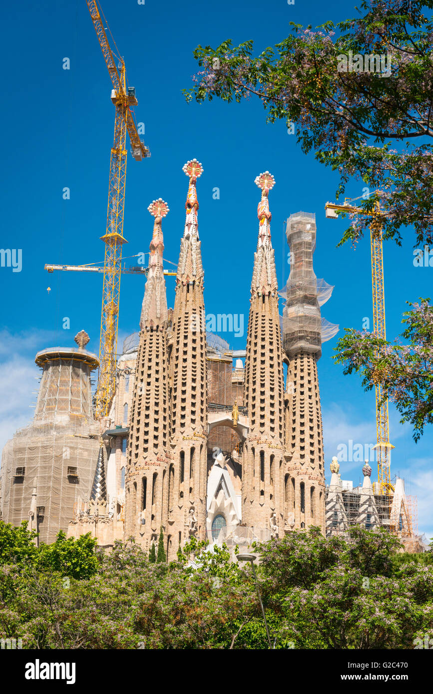 Espagne Catalogne Barcelone Eixample Sagrada Familia entouré d'échafaudages grues feuilles poussière Banque D'Images