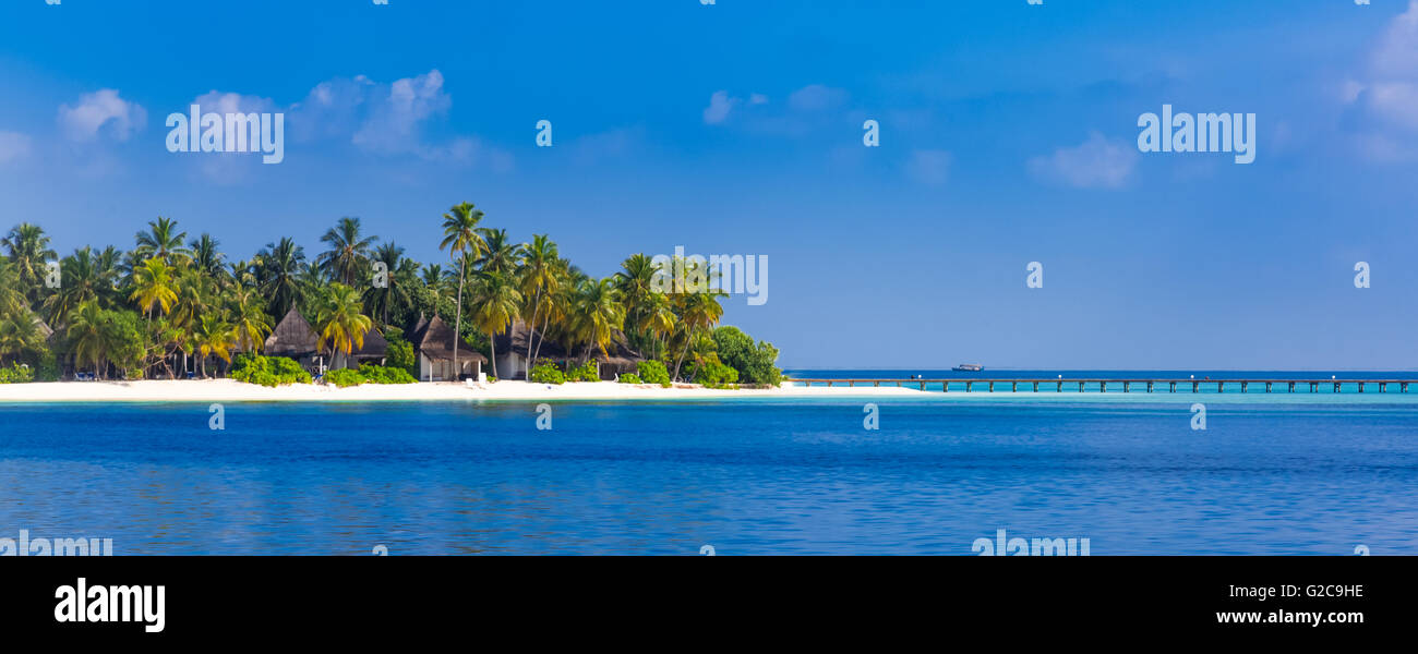 Plage tropicale étonnante aux Maldives avec quelques palmiers et blue lagoon Banque D'Images