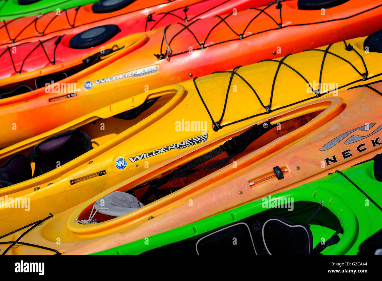 Canoës kayaks colorés sur une plage. Banque D'Images