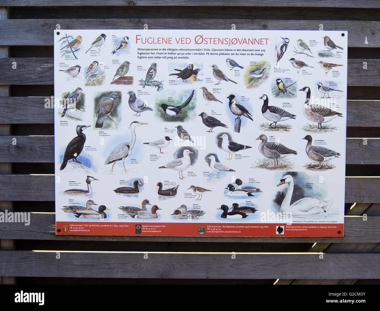 L'affiche de l'information avec aperçu des oiseaux les plus communs au lac Østensjøvannet réserve naturelle en Oslo Norvège Banque D'Images