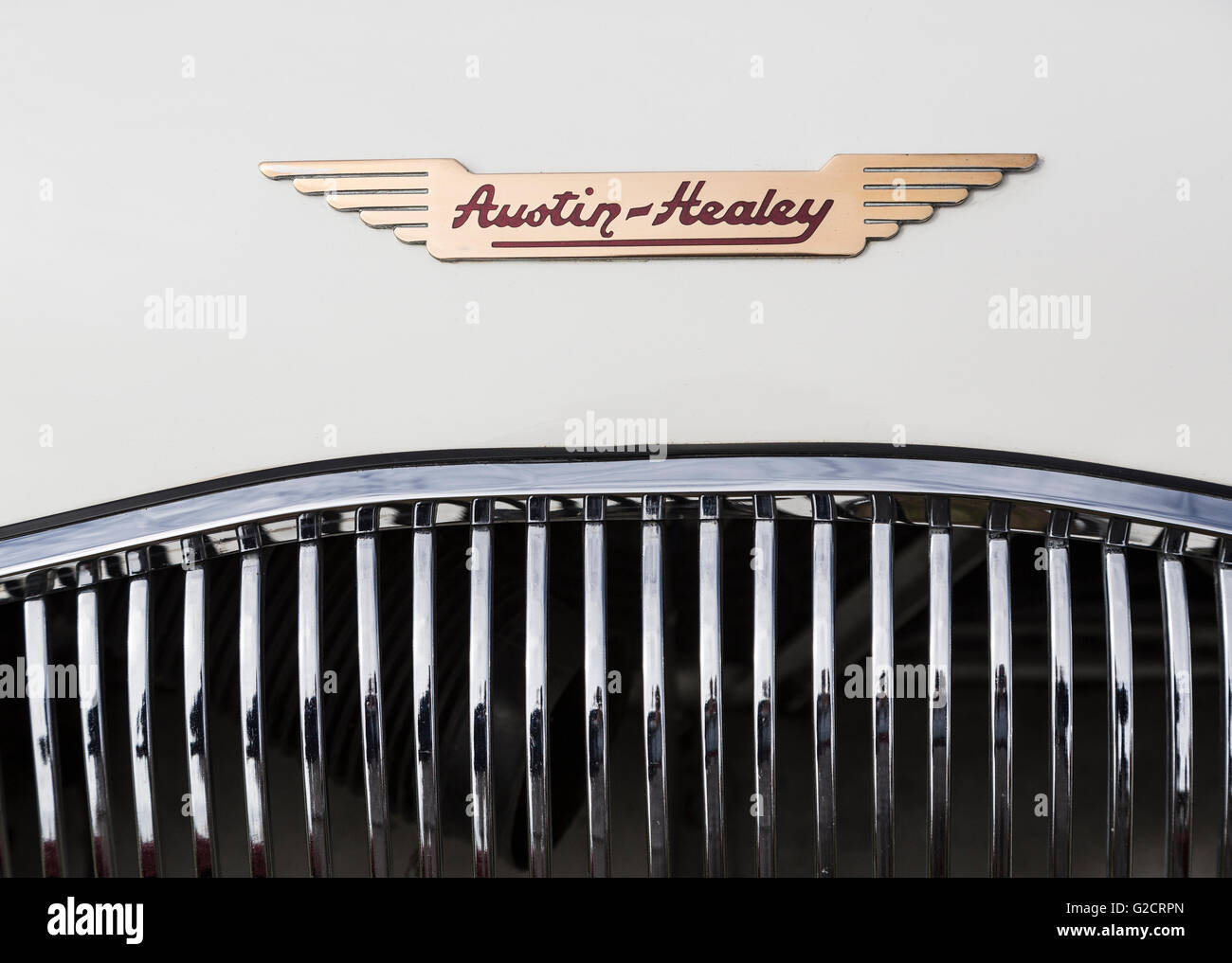 Austin-Healey badge sur capot de voiture vintage classique au rallye, Galles, Royaume-Uni Banque D'Images