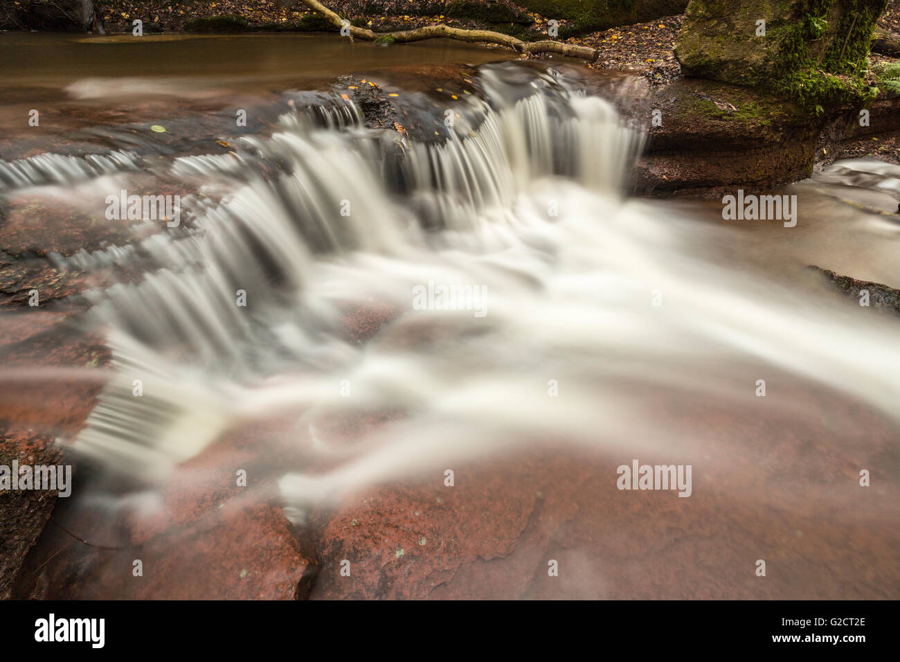 Cascade dans le ruisseau qui coule à travers Pwll-y-Wrach Réserve Naturelle, Talgarth, Pays de Galles, Royaume-Uni Banque D'Images