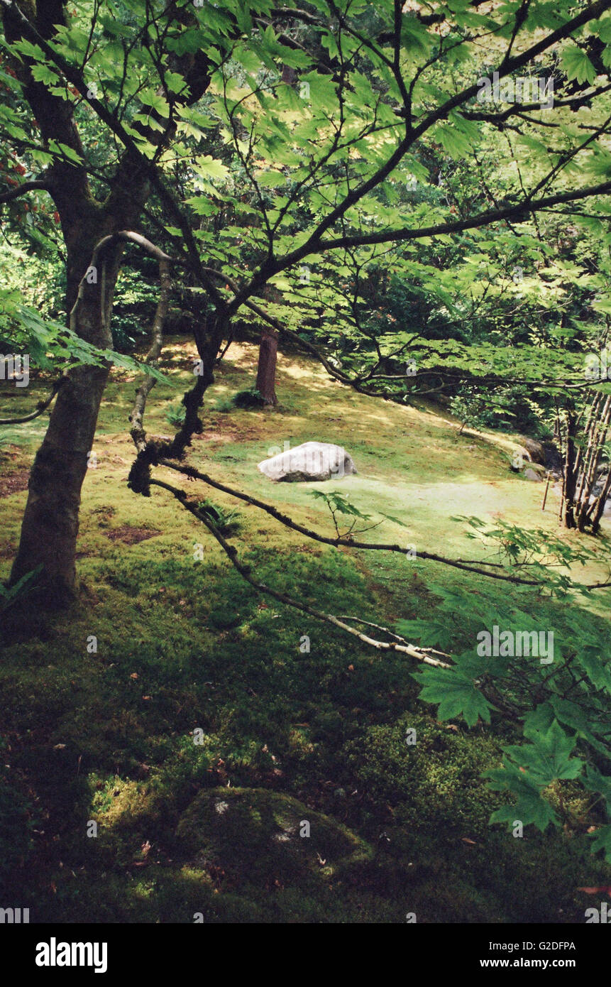 Jardin de sculptures japonais avec des arbres et des affleurement rocheux Banque D'Images