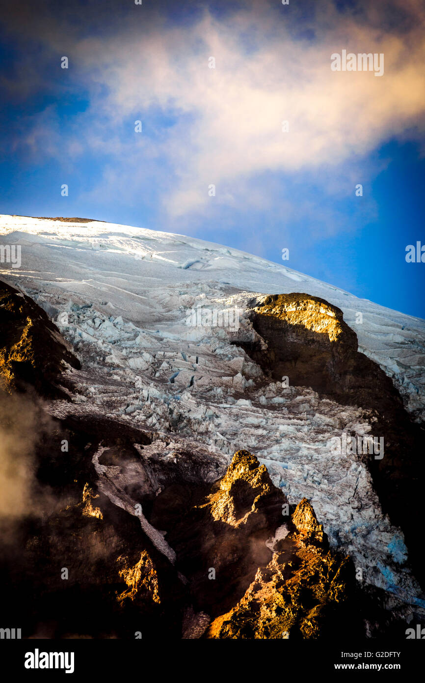 Glacier Nisqually, Mt. Rainier National Park, Washington, USA Banque D'Images