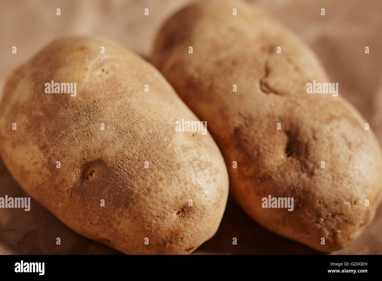 Deux pommes de terre russet Banque D'Images