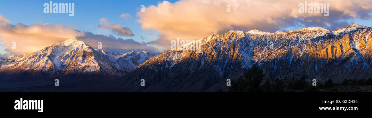 Lever du soleil d'hiver sur le mont Tom et la Sierra crest, Inyo National Forest, California USA Banque D'Images