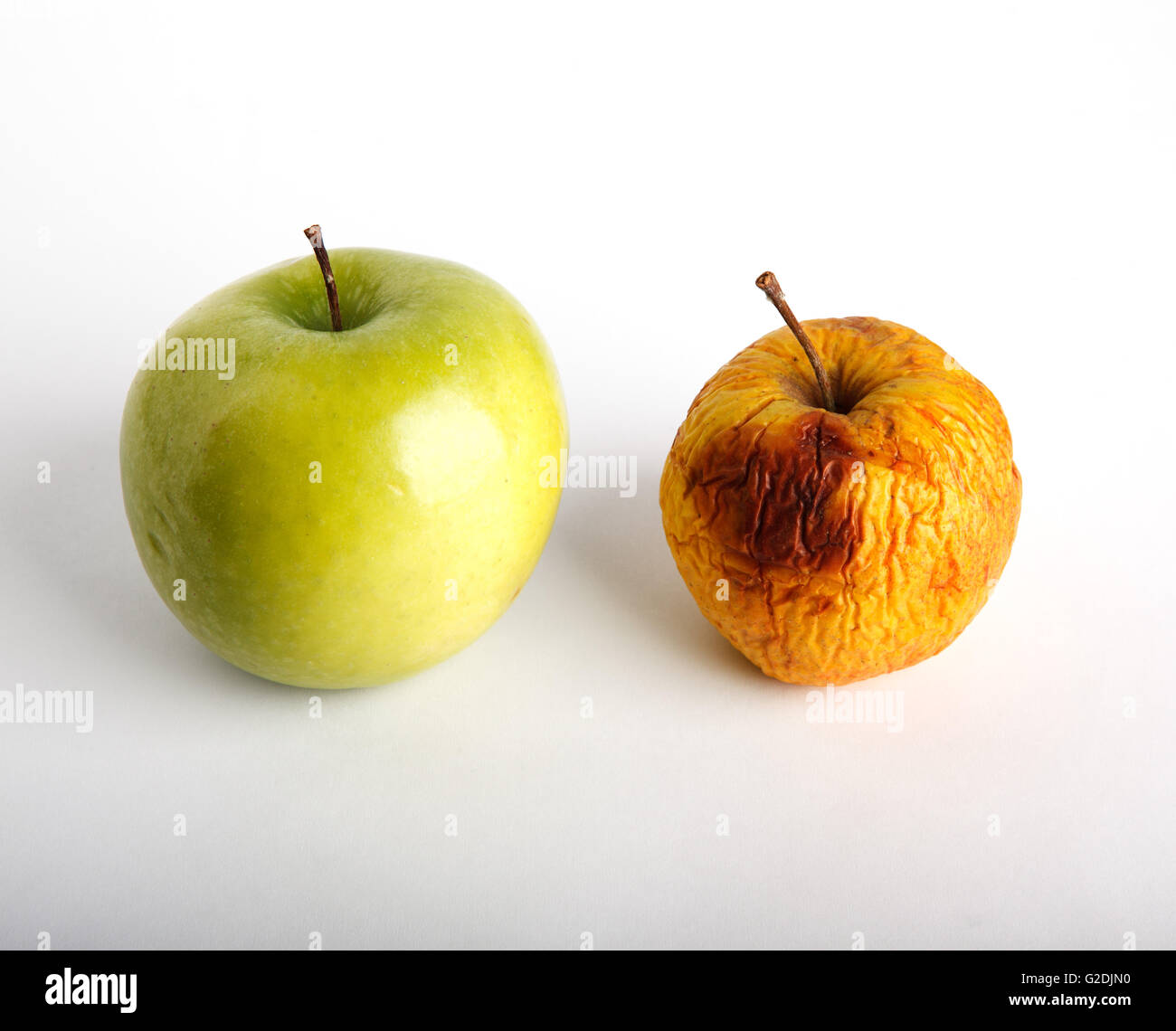 Un vert frais juteux aux côtés d'apple une pomme séchée desséché pour la comparaison sur un fond studio blanc Banque D'Images