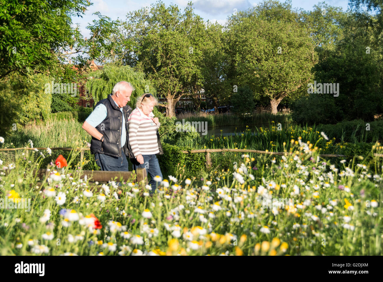 Un couple de personnes âgées appréciant le paysage à Barnes Pond dans le sud-ouest de Londres - une idylle urbaine de fleurs sauvages à Londres, Royaume-Uni Banque D'Images