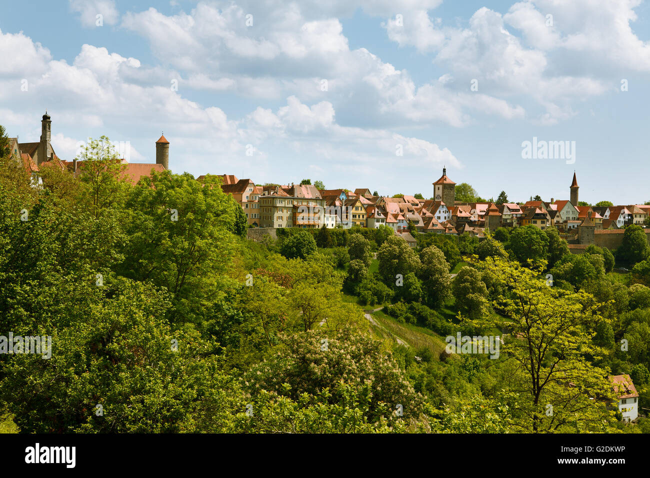 Vignes au sud-ouest de l'Allemagne Banque D'Images