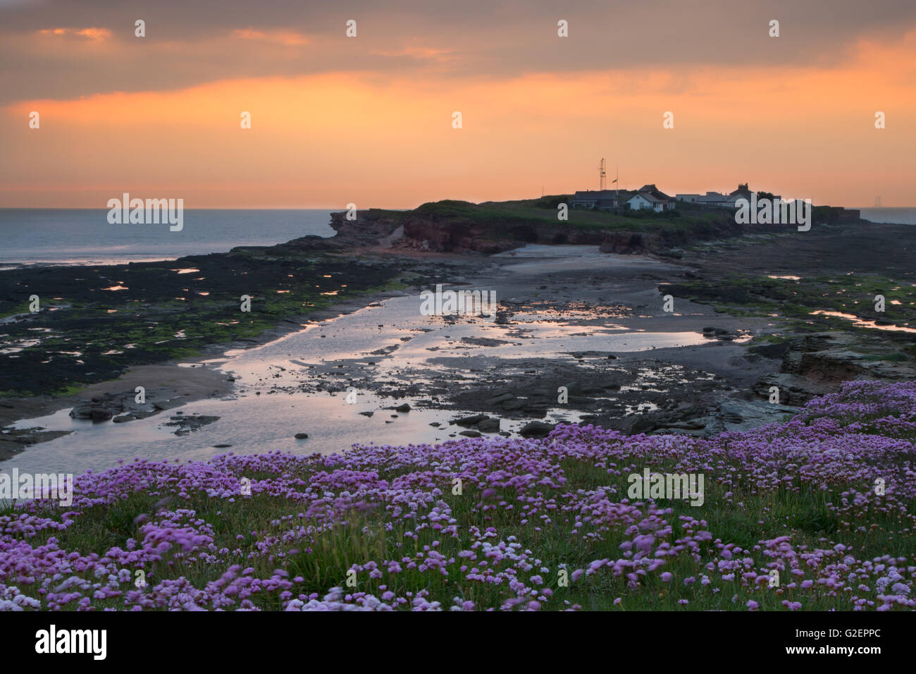Hilbre Island, Wirral Banque D'Images