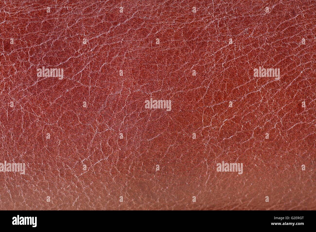 Fond en cuir, Close up texture, détail macro Banque D'Images