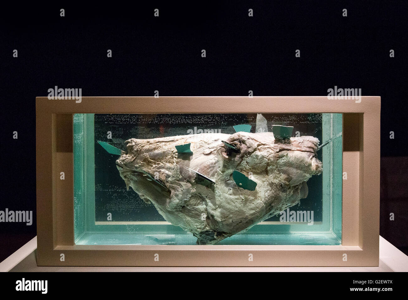 Damien Hirst, les Douze Disciples, maison de ventes aux enchères Christies Banque D'Images