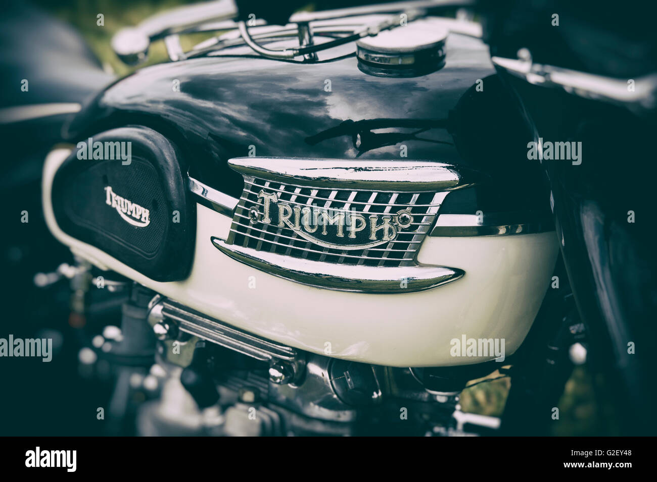 Triumph Tiger 110 650cc réservoir essence moto. Moto classique britannique. Vintage filtre appliqué Banque D'Images