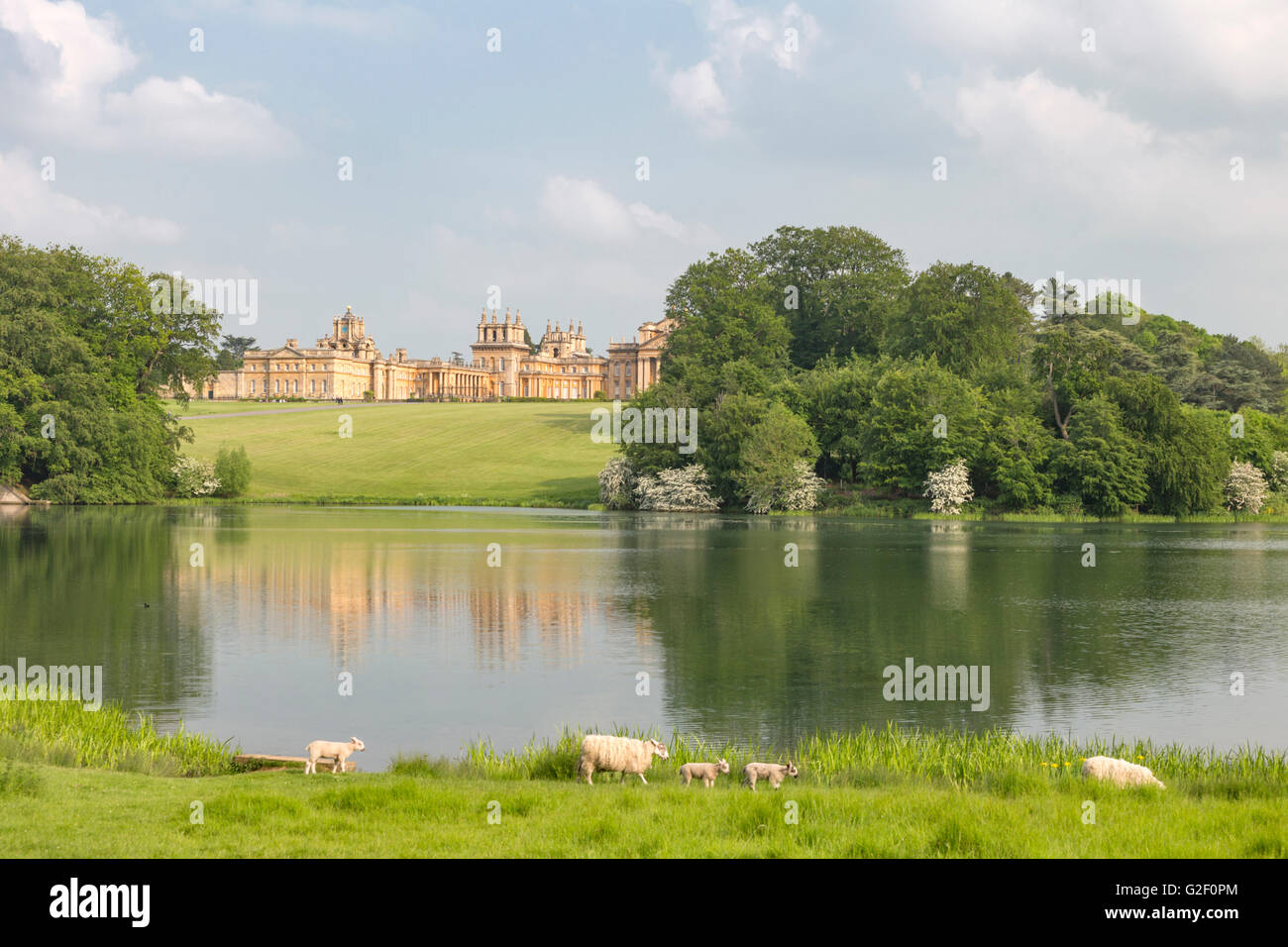 Le Palais de Blenheim et c'est un parc paysager, Woodstock, Oxfordshire, England, UK Banque D'Images