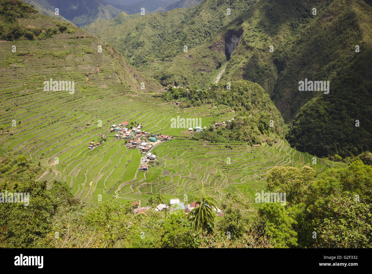 Rizières en terrasses d'Ifugao et le village Batad, dans le nord de Luzon, Philippines Banque D'Images