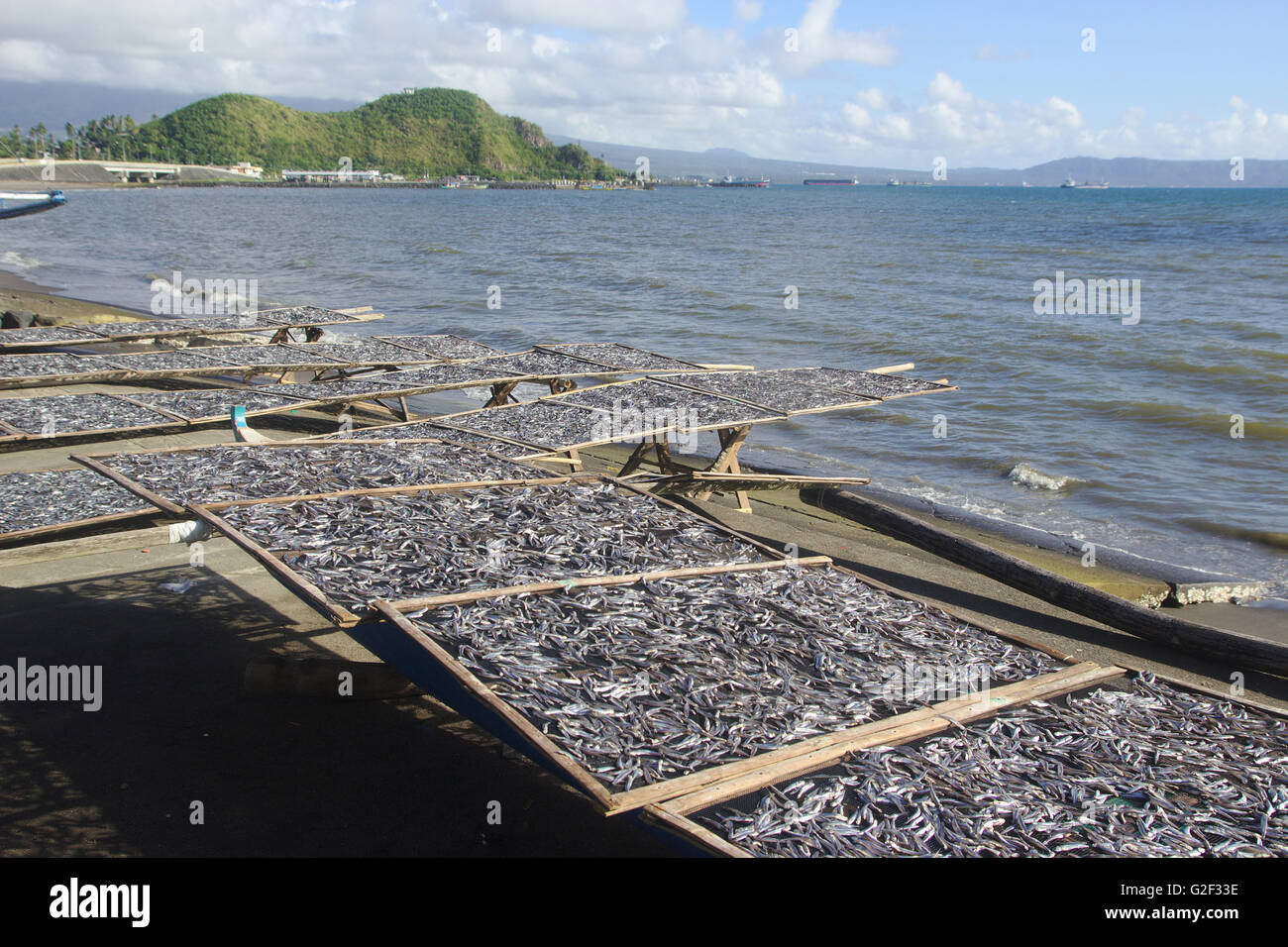 Petit Séchage de poisson sur la rive du golfe d'Albay, Legazpi, Bicol, Philippines Banque D'Images
