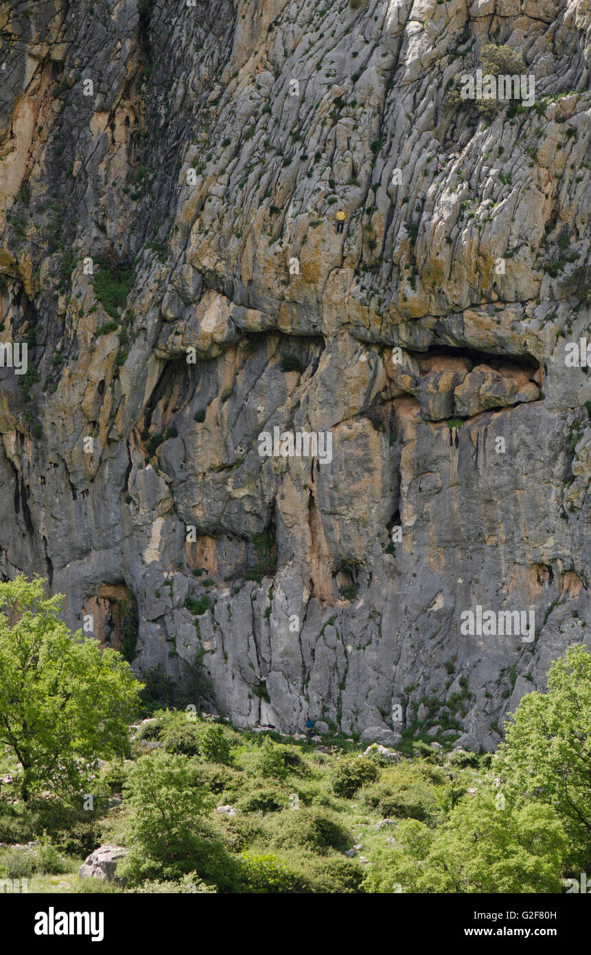 L'homme mur d'escalade, l'escalade, les grimpeurs sur corde, la Sierra los Camarolos, Andalousie, Sud de l'Espagne. Banque D'Images