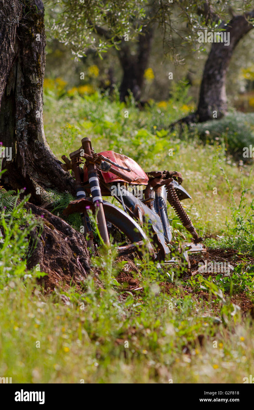 Vieux vélo classique délabrées laissées dans les champs d'oliviers, de l'Espagne. Banque D'Images