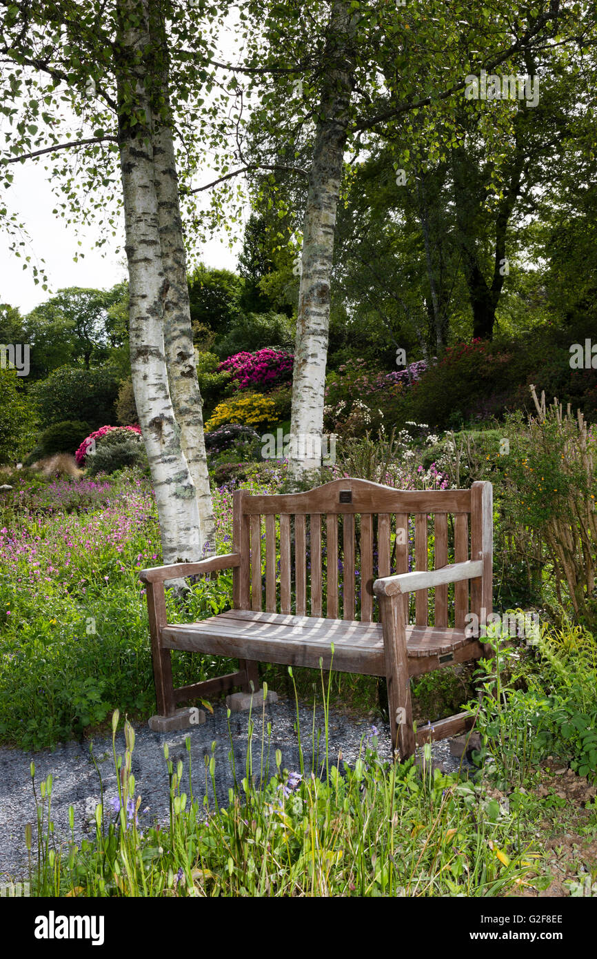 Un siège sous les bouleaux invite le visiteur à s'asseoir et se détendre à la maison du jardin, Devon, UK Banque D'Images