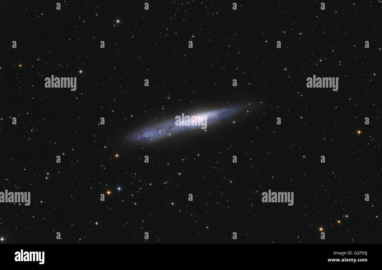 Galaxie spirale NGC 55 dans la constellation du sculpteur. Banque D'Images