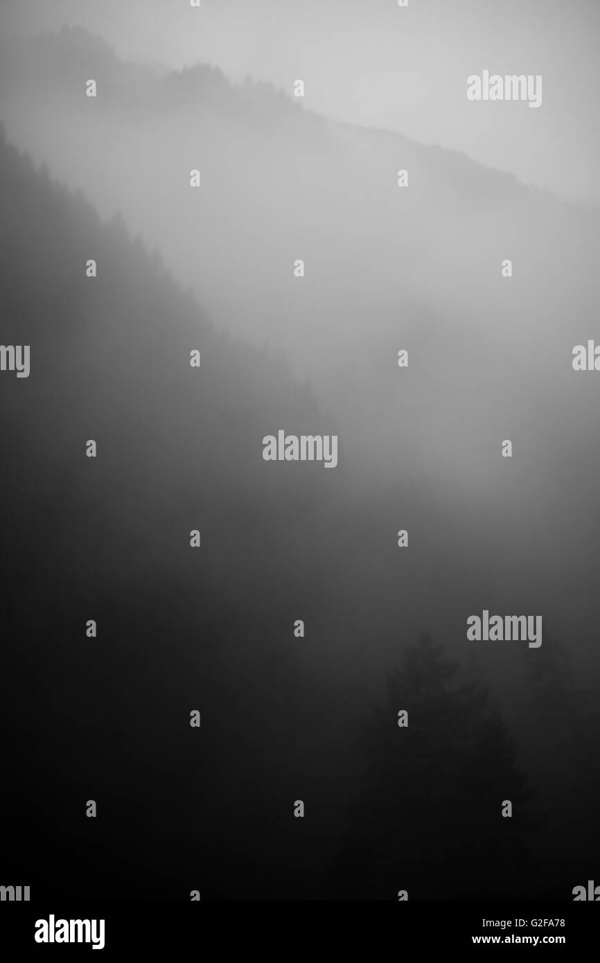 Montagnes et forêts de brouillard Banque D'Images