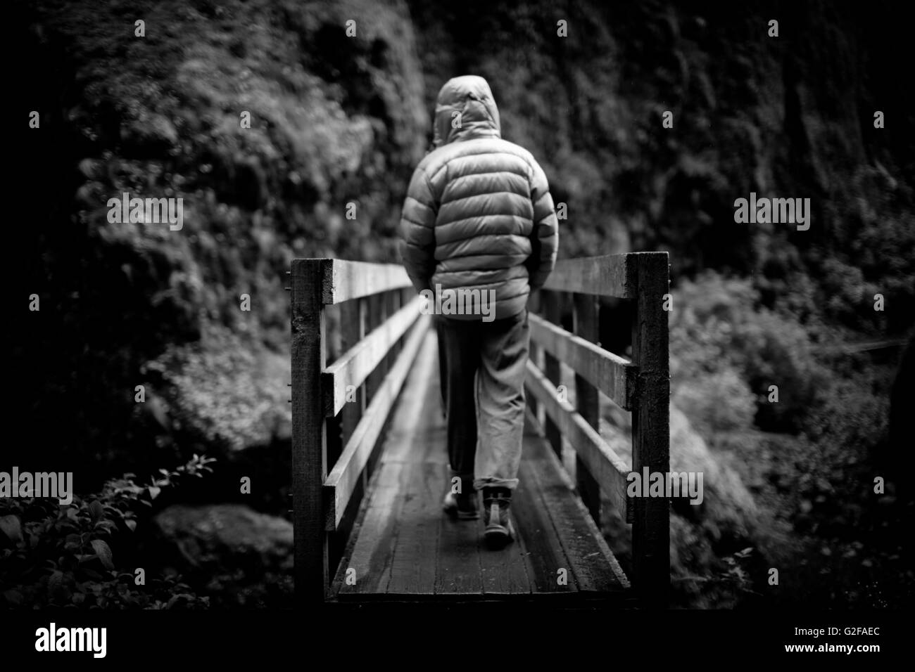 Randonnées Mid-Adult Man au pont en bois, vue arrière Banque D'Images