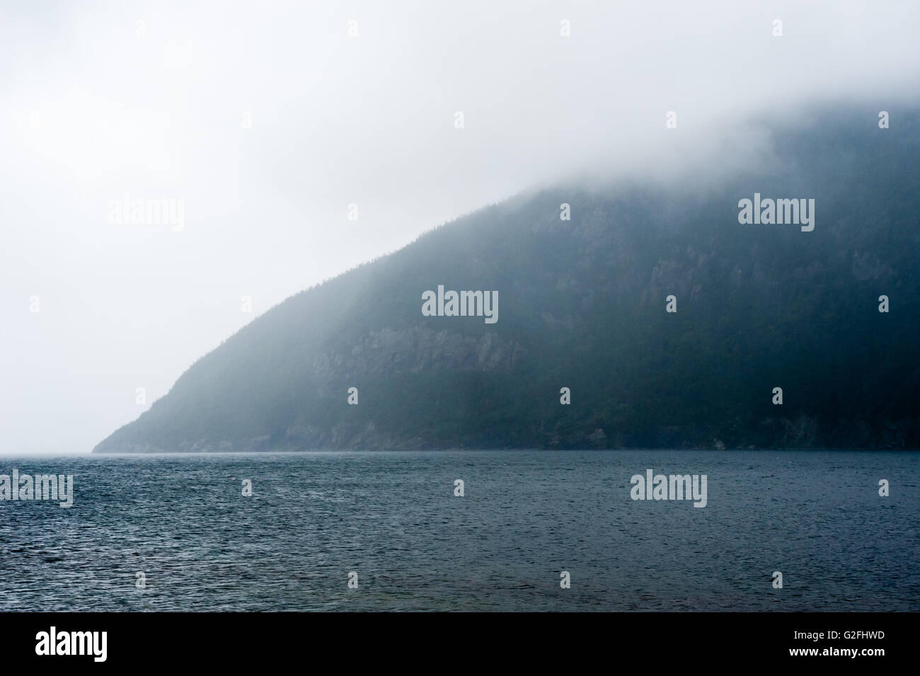 Bordure de la forêt et les falaises de la montagne de l'eau réunion par temps brumeux et pluvieux, à Terre-Neuve, Canada. Banque D'Images