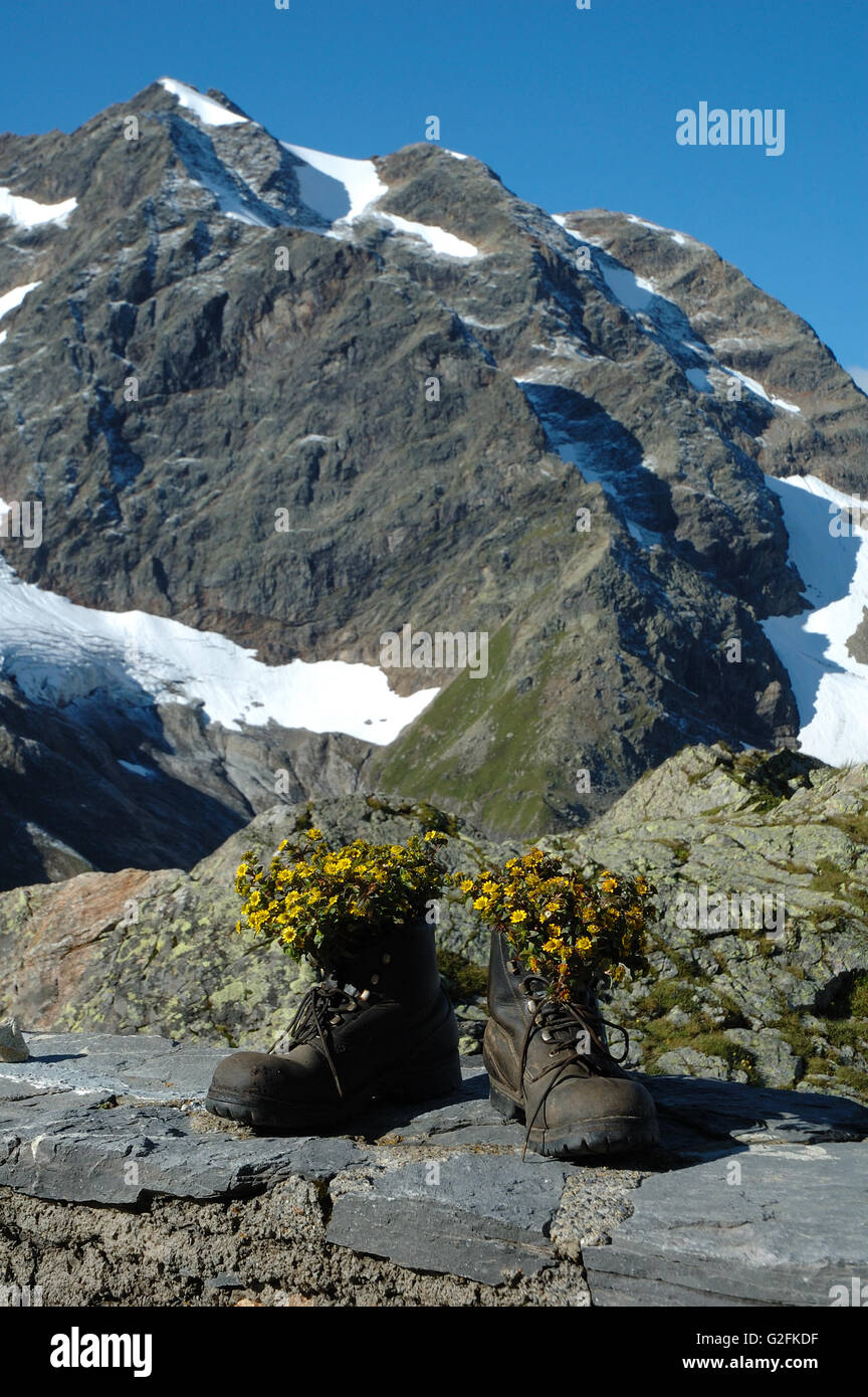 Chaussures de randonnée avec des fleurs jaunes à l'intérieur dans les montagnes Banque D'Images