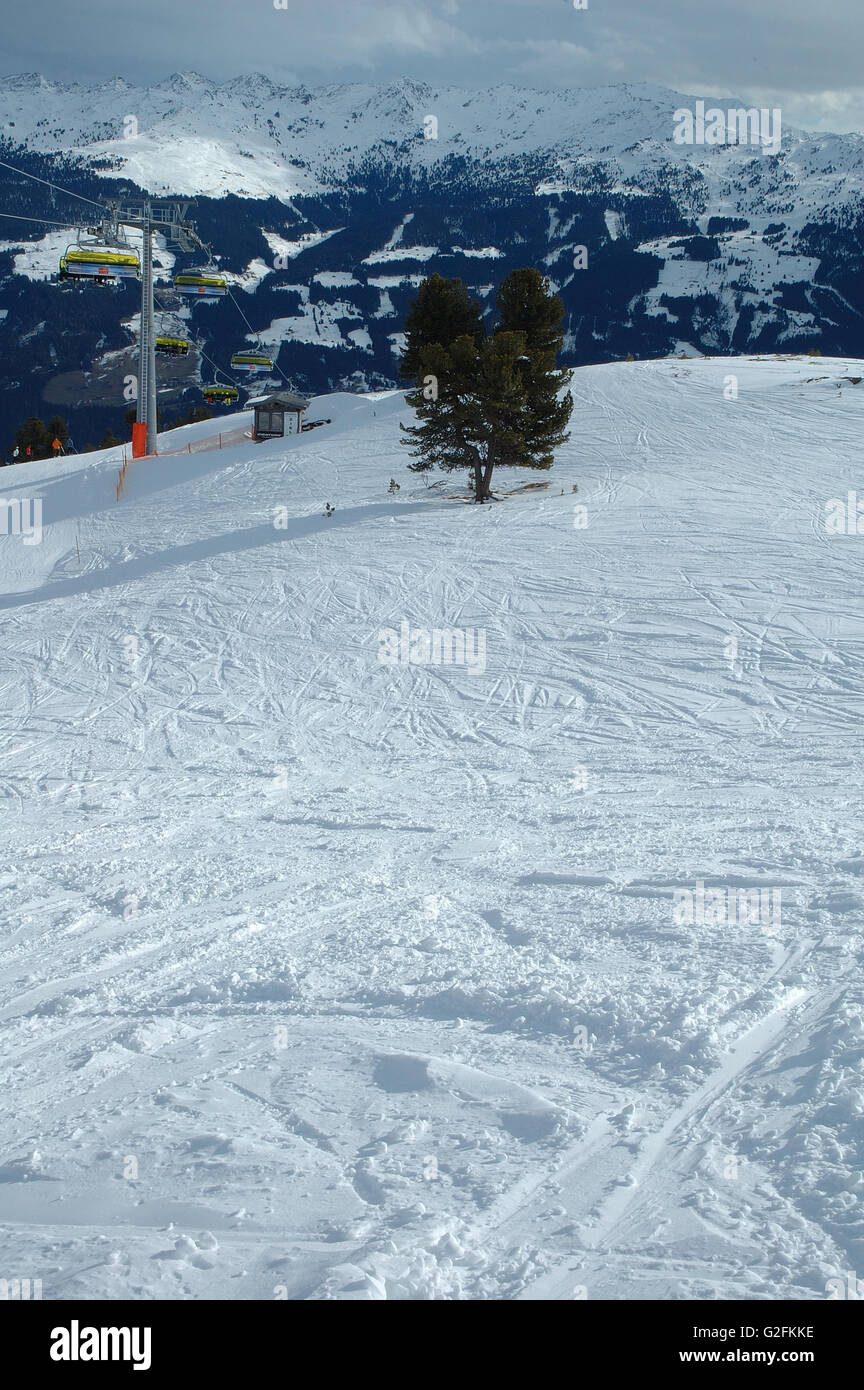 Seul arbre sur pente en Autriche dans la vallée Zillertal Kaltenbach à proximité Banque D'Images